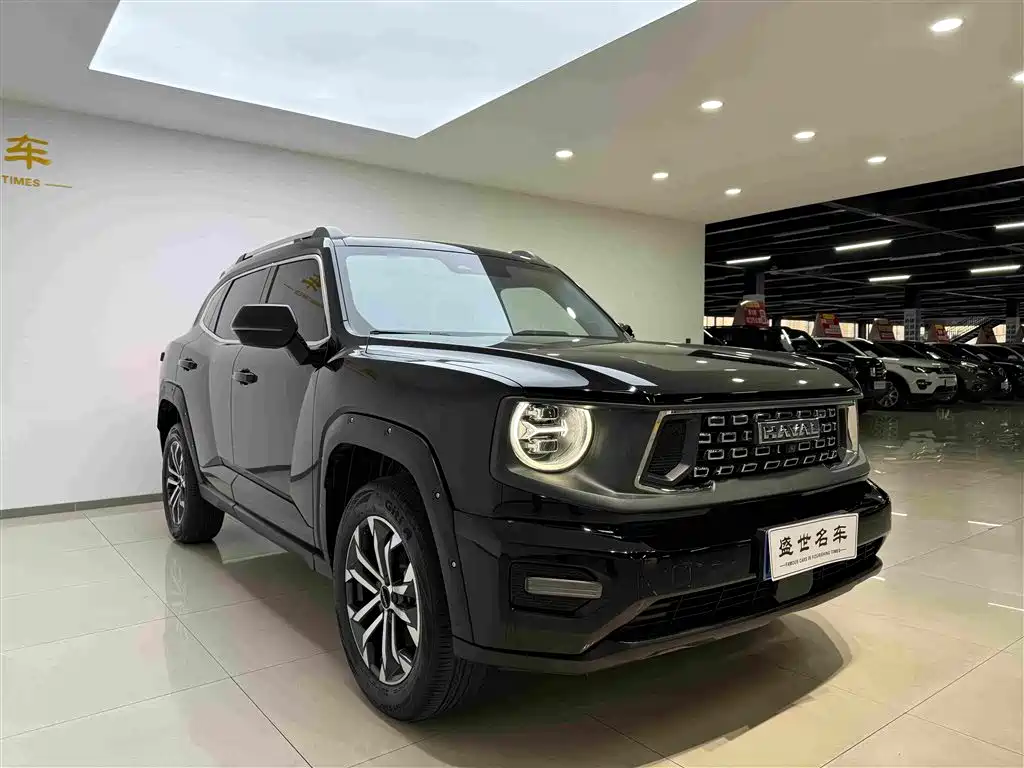 Haval Big Dog PLUS — фото 4