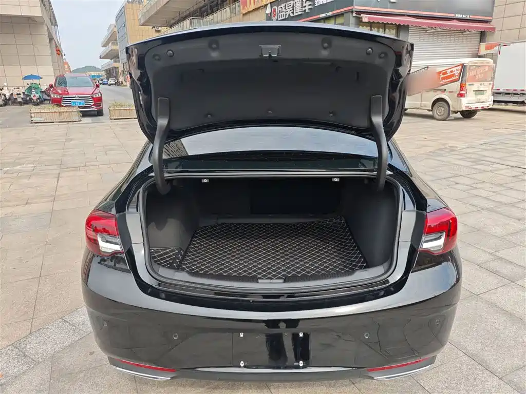 Buick Regal — фото 19