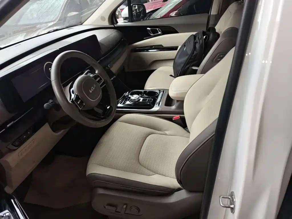 Kia Carnival — фото 14