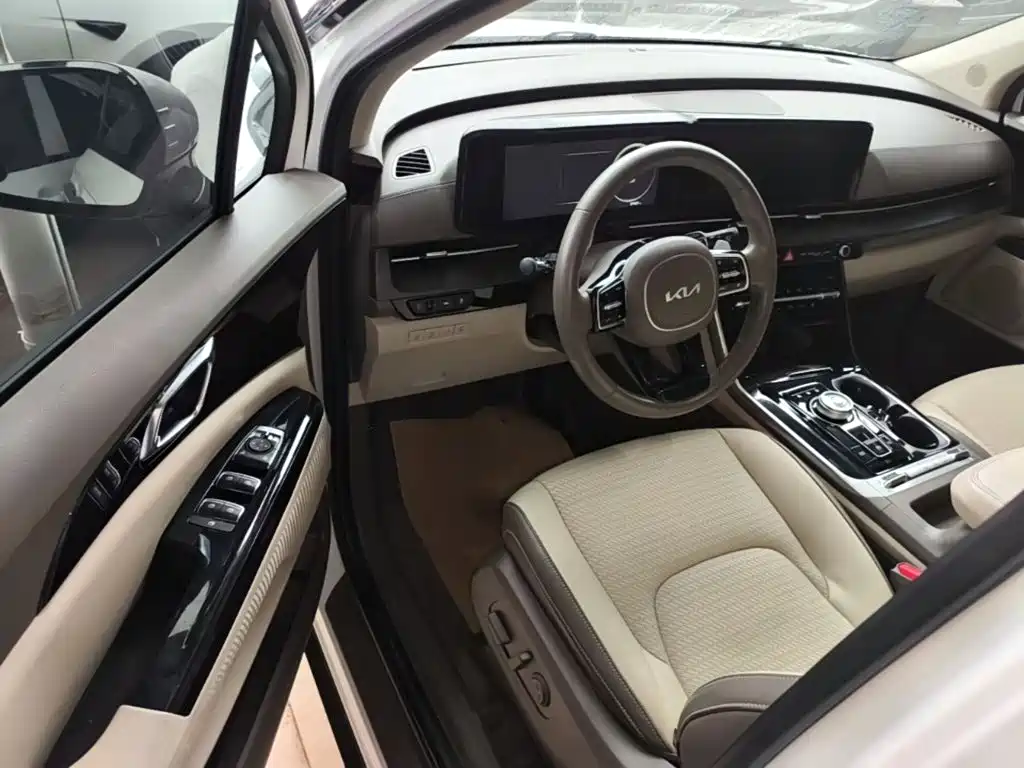 Kia Carnival — фото 15