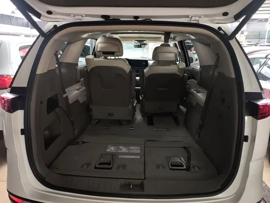 Kia Carnival — фото 18