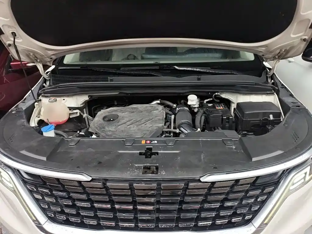 Kia Carnival — фото 19