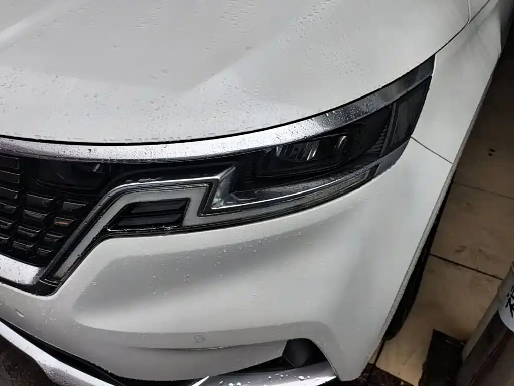 Kia Carnival — фото 23