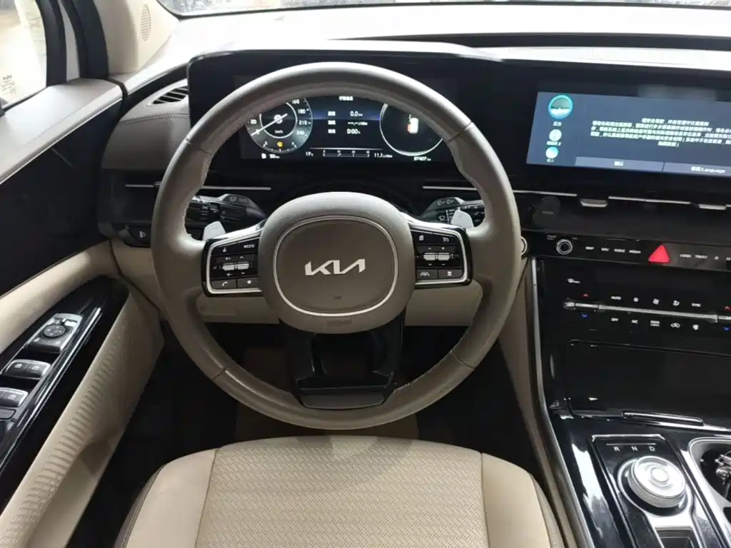 Kia Carnival — фото 10