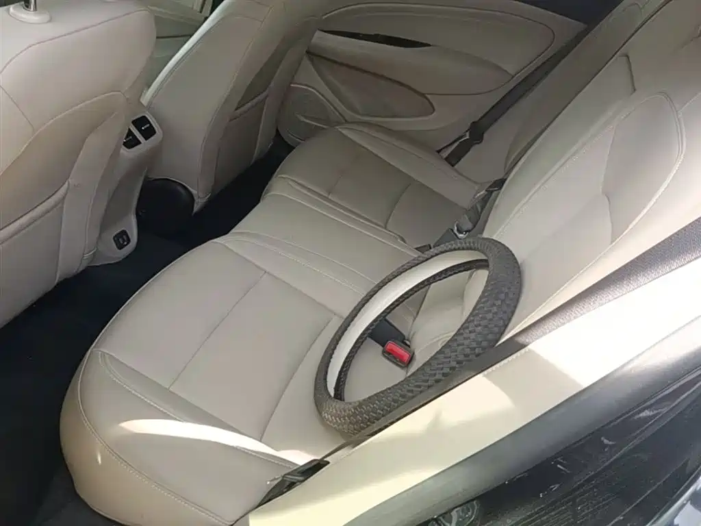 Buick Regal — фото 17