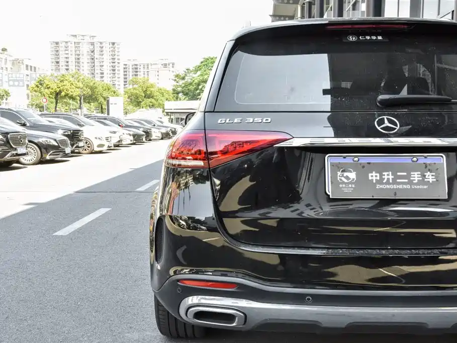 Mercedes-Benz GLE (Import) — фото 10
