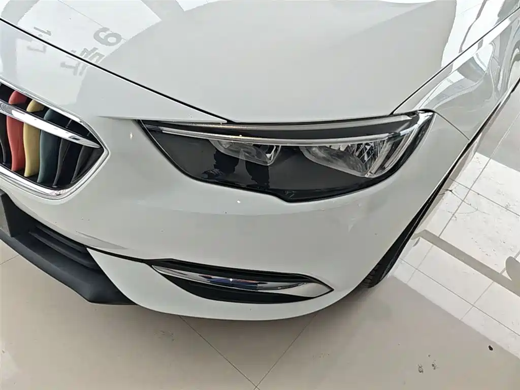 Buick Regal — фото 24