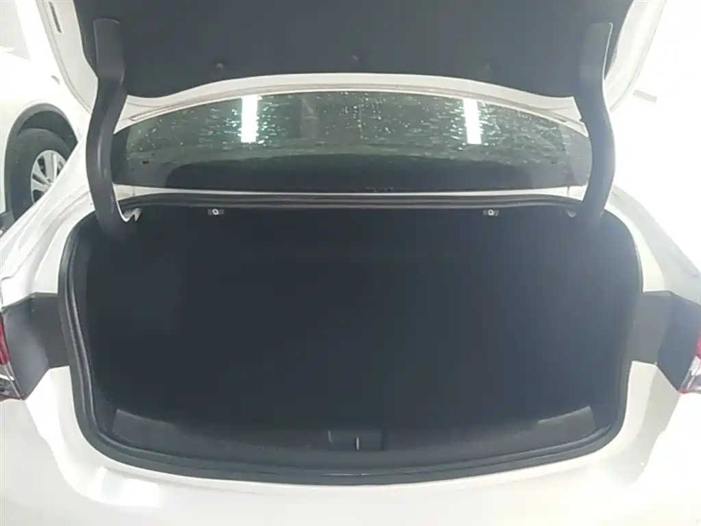 Buick Regal — фото 19