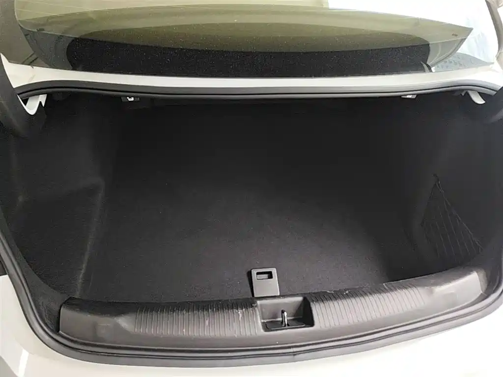 Buick Regal — фото 19