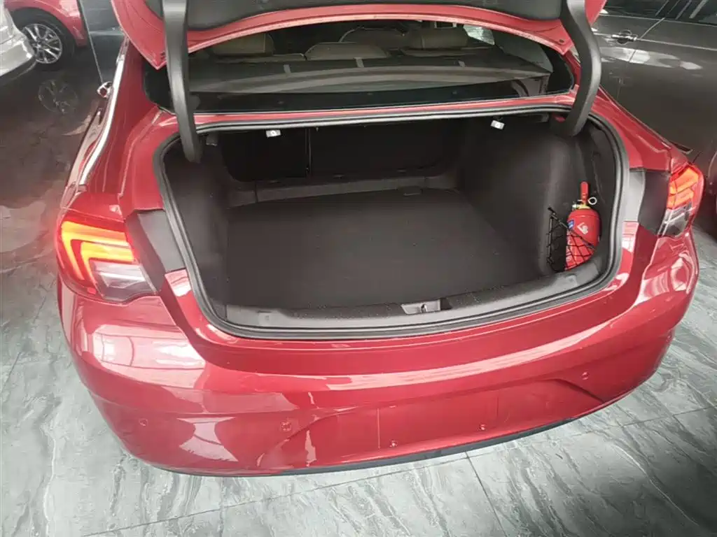 Buick Regal — фото 19