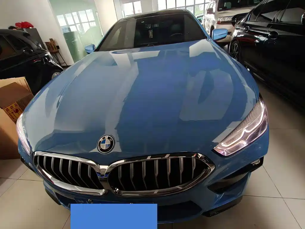 BMW 8 Series — фото 2