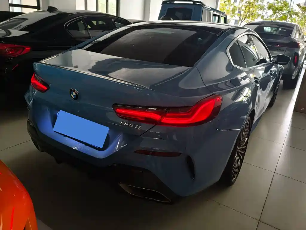 BMW 8 Series — фото 10