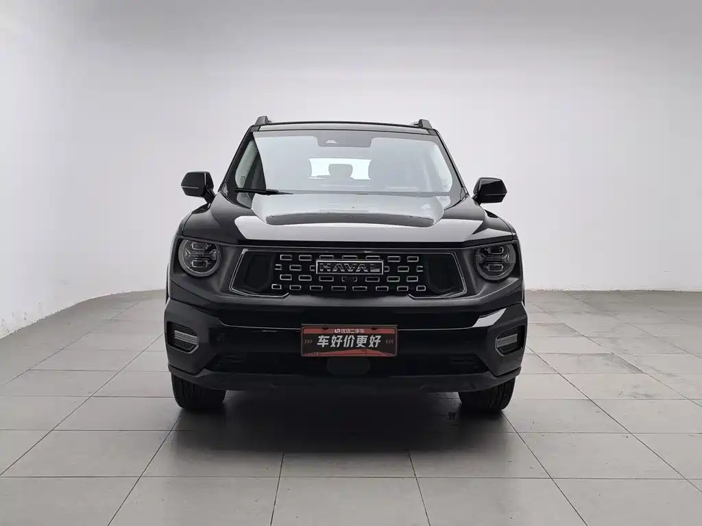 Haval Big Dog PLUS — фото 3
