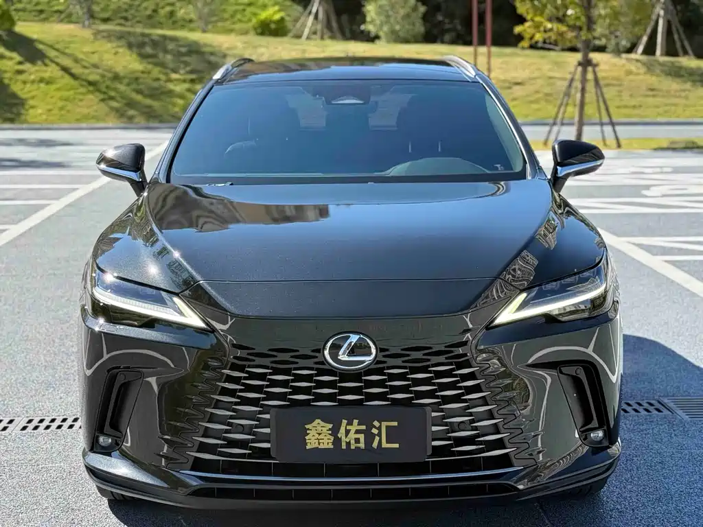 Lexus RX — фото 2