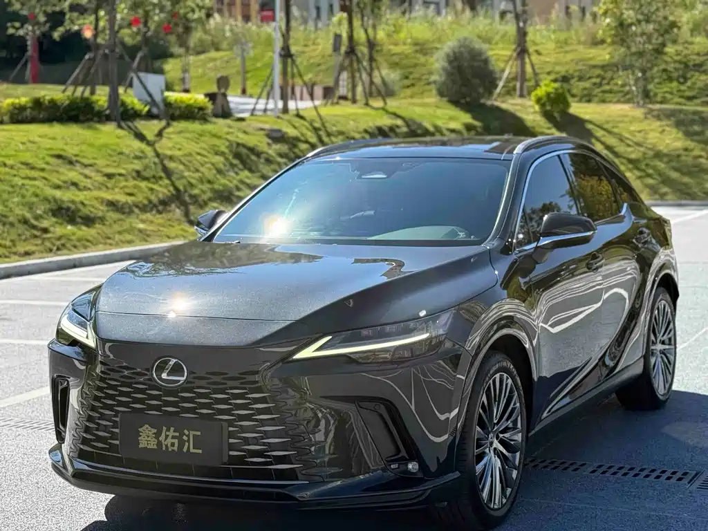 Lexus RX — фото 3