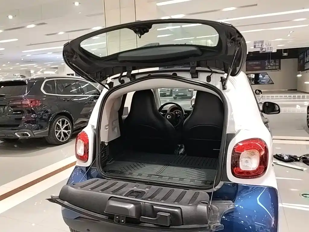 smart Smart Fortwo — фото 18