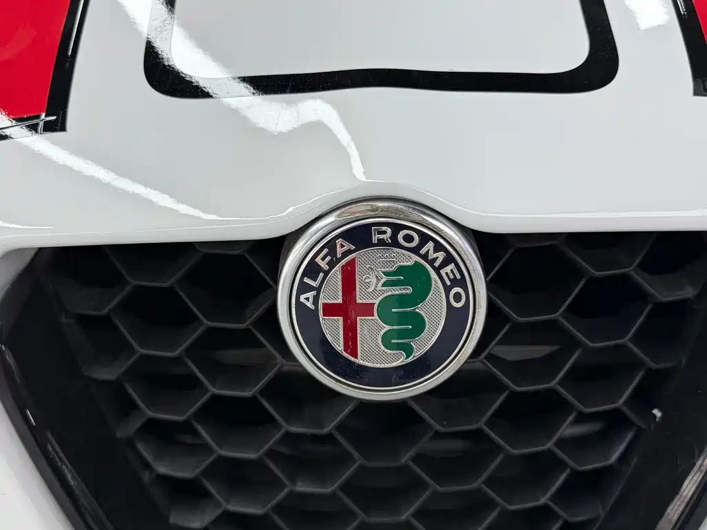 Alfa Romeo Giulia — фото 13