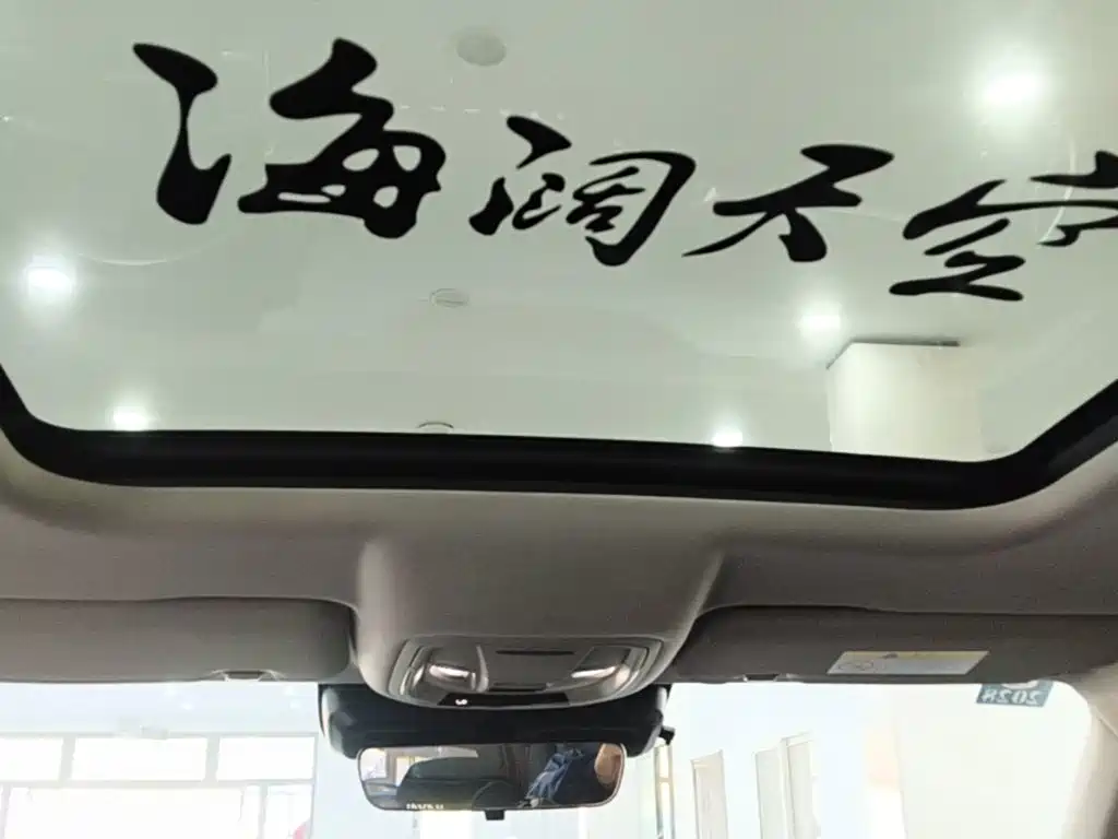 Haval Big Dog — фото 17