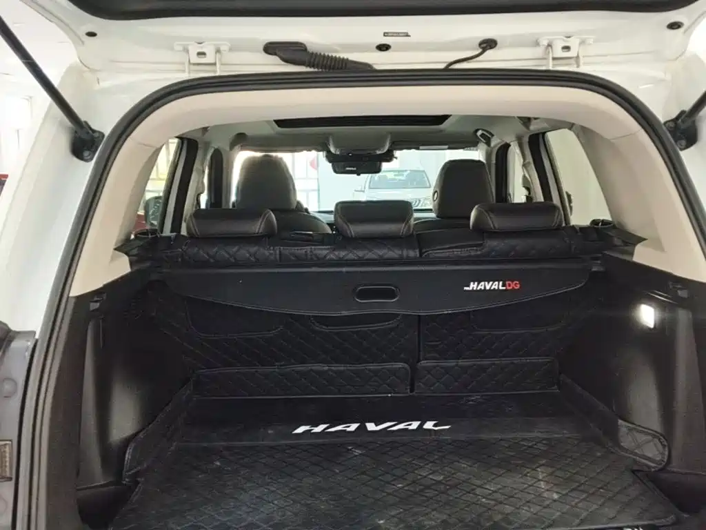 Haval Big Dog — фото 18