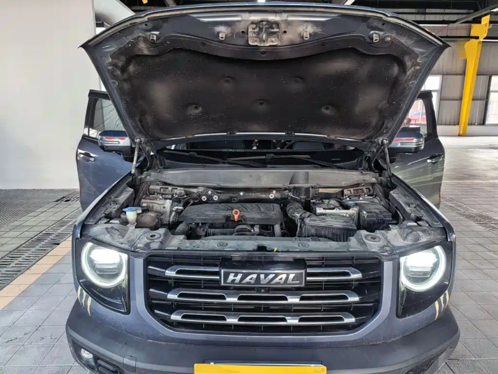Haval Big Dog — фото 19