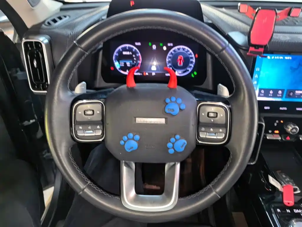 Haval Big Dog — фото 10