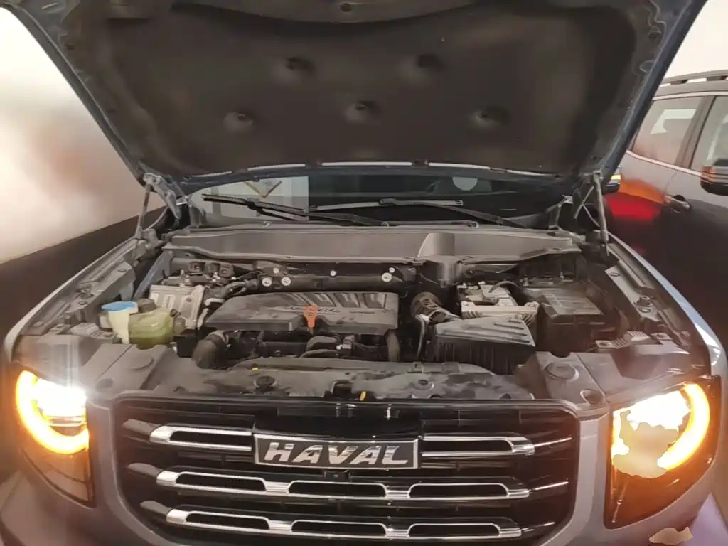 Haval Big Dog — фото 19