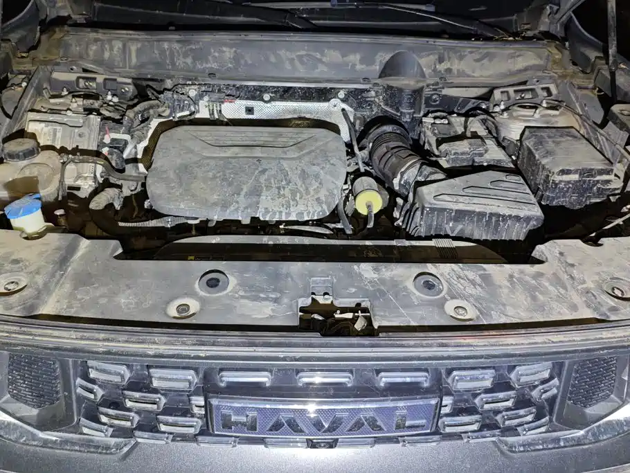 Haval Big Dog PLUS — фото 10
