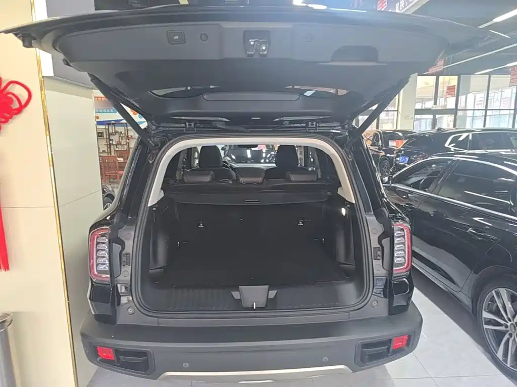 Haval Big Dog — фото 18