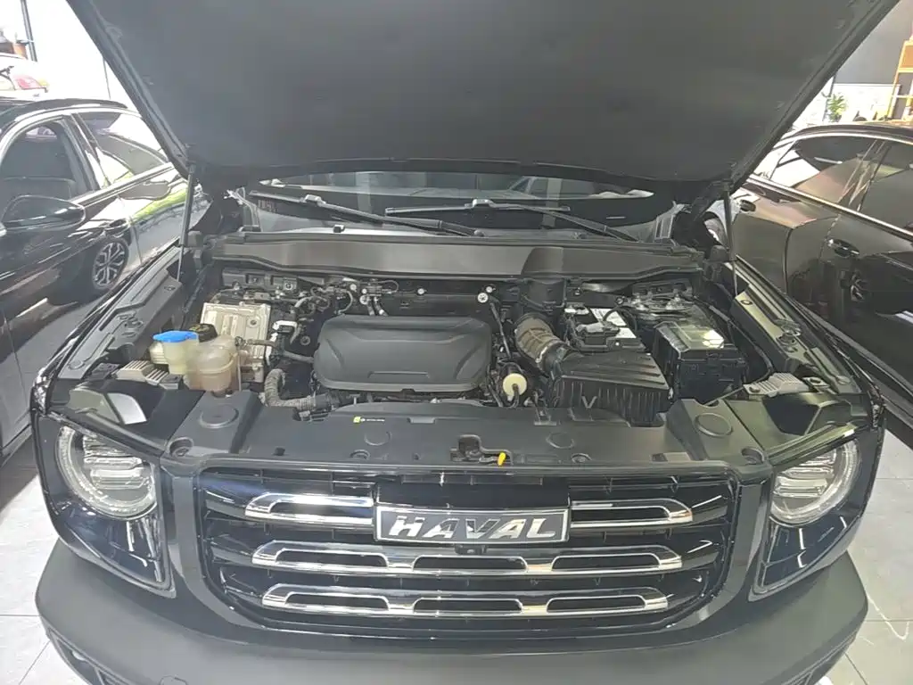 Haval Big Dog — фото 19