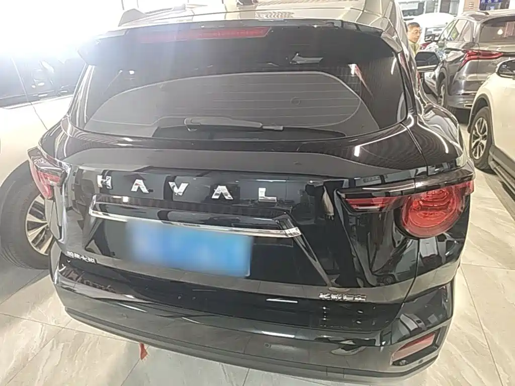 Haval Big Dog PLUS — фото 5