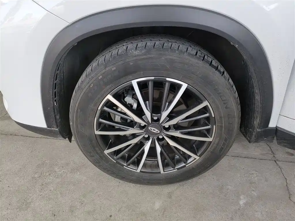 Chery Tiggo 8 PLUS — фото 25