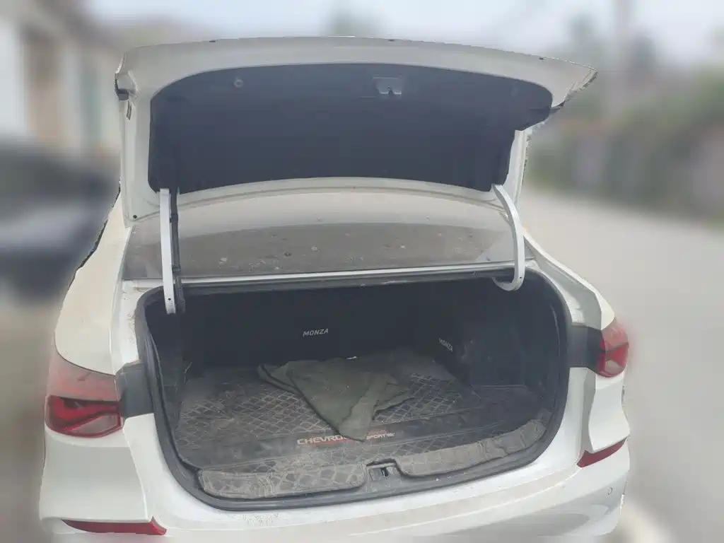 Chevrolet Monza — фото 10