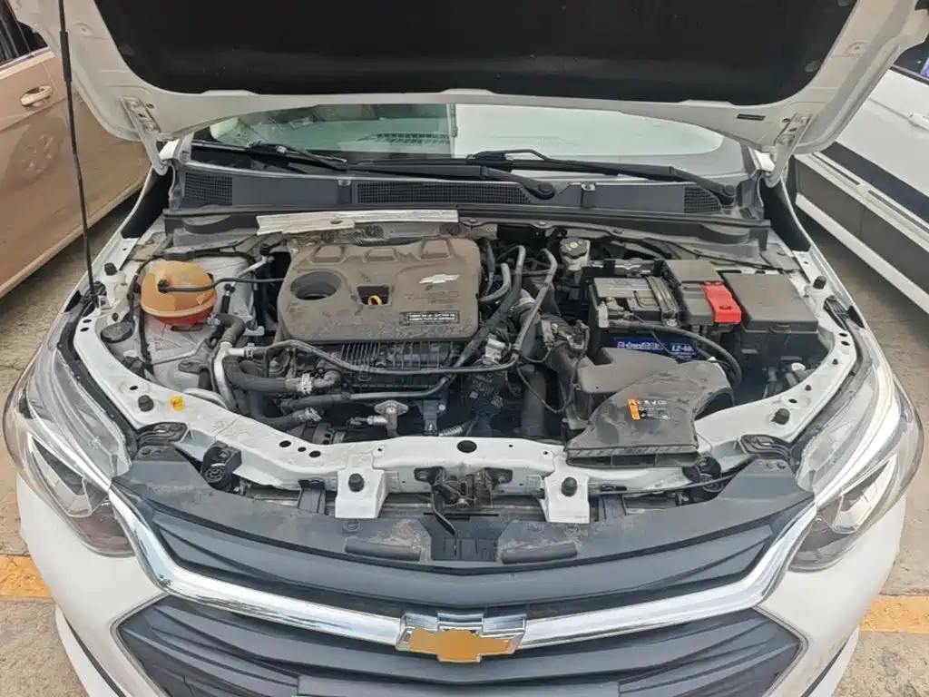 Chevrolet Cavalier — фото 20