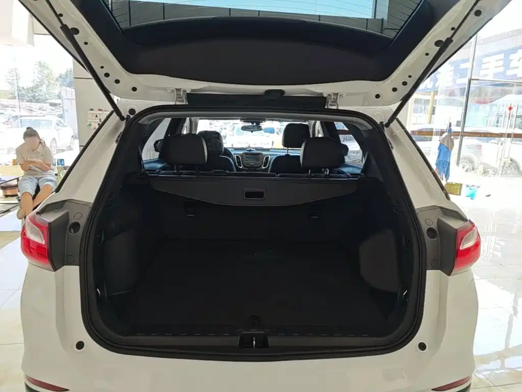 Chevrolet Equinox — фото 19
