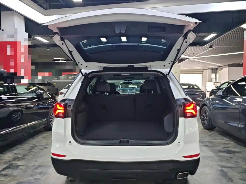 Chevrolet Equinox — фото 19