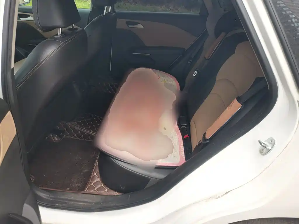 Chevrolet Monza — фото 18