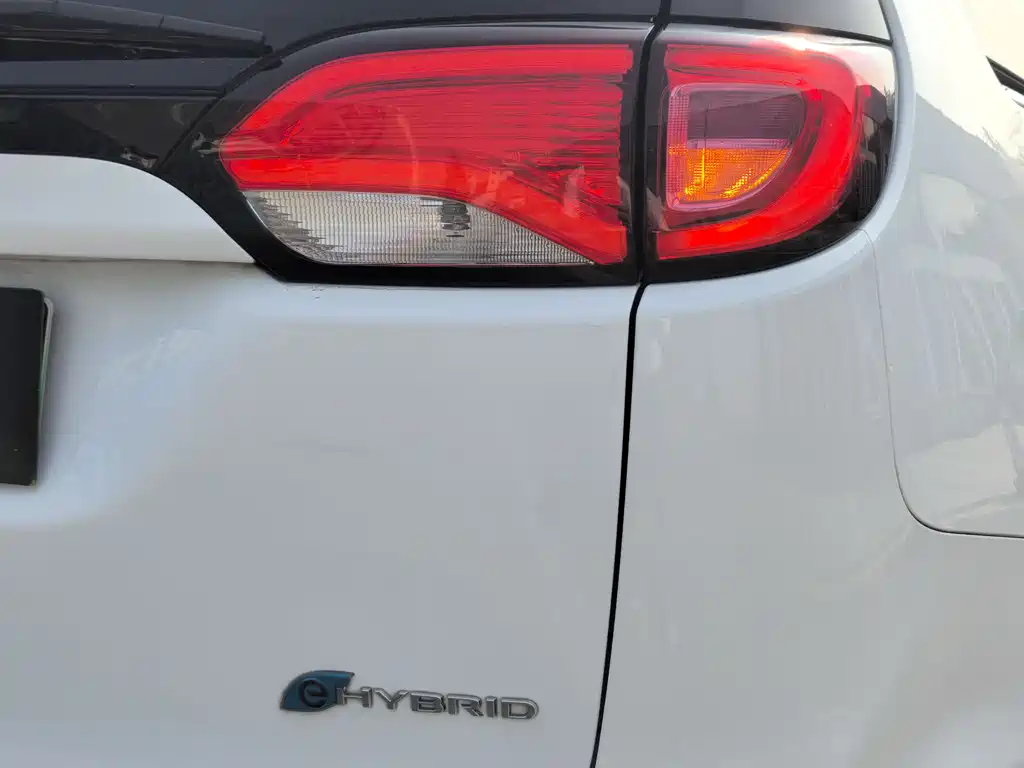 Chrysler Grand Voyager PHEV (Import) — фото 7