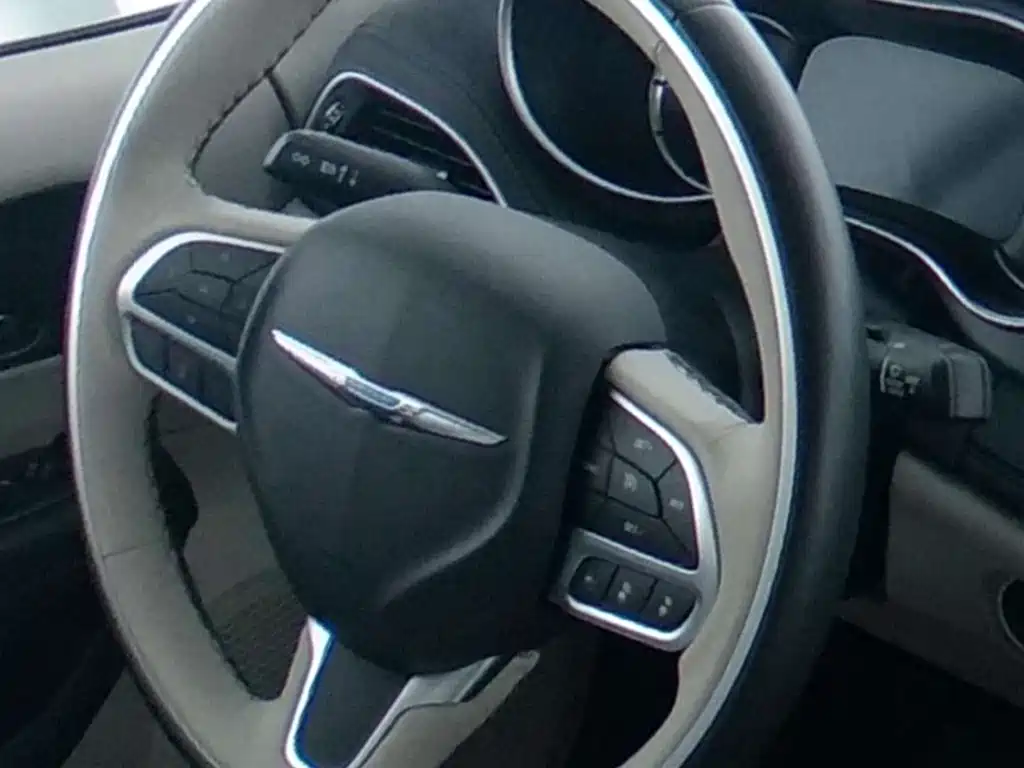 Chrysler Grand Voyager PHEV (Import) — фото 16