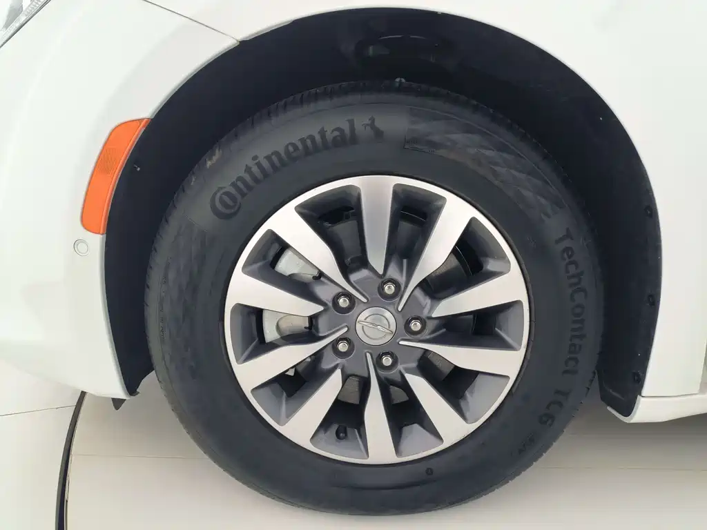 Chrysler Grand Voyager PHEV (Import) — фото 9