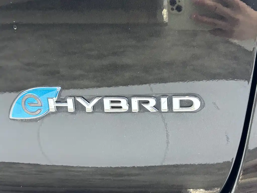 Chrysler Grand Voyager PHEV (Import) — фото 8