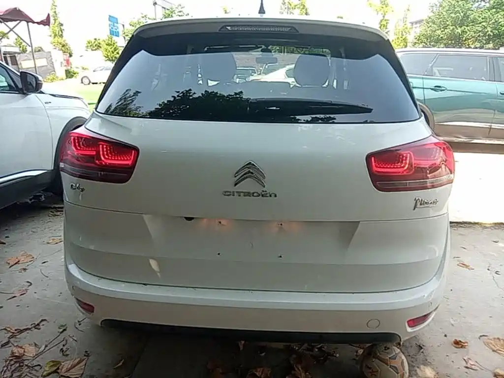 Citroen C4 Picasso — фото 6
