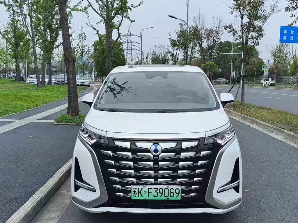 Denza Denza D9