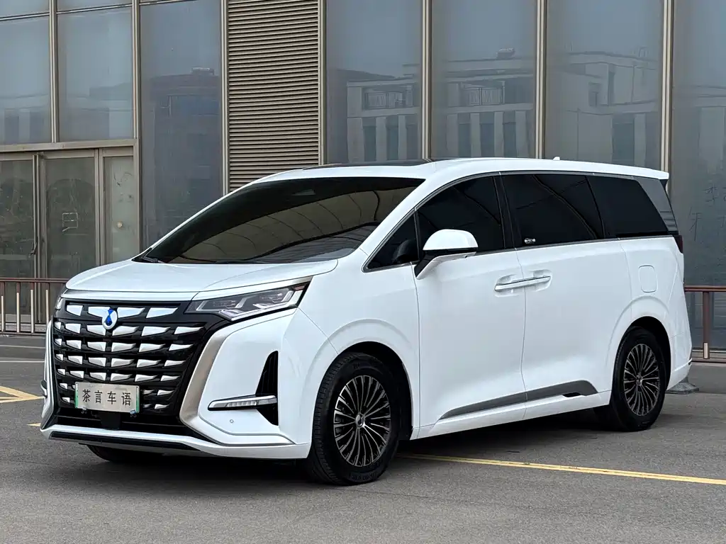 Denza Denza D9