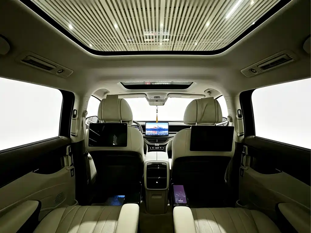 Denza Denza D9 — фото 13