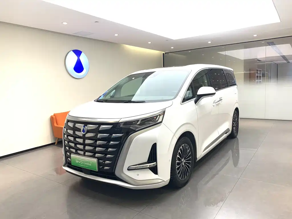 Denza Denza D9