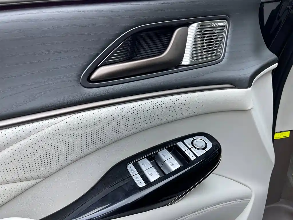 Denza Denza D9 — фото 13