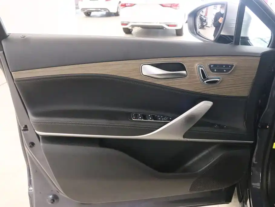 Denza Denza X — фото 11