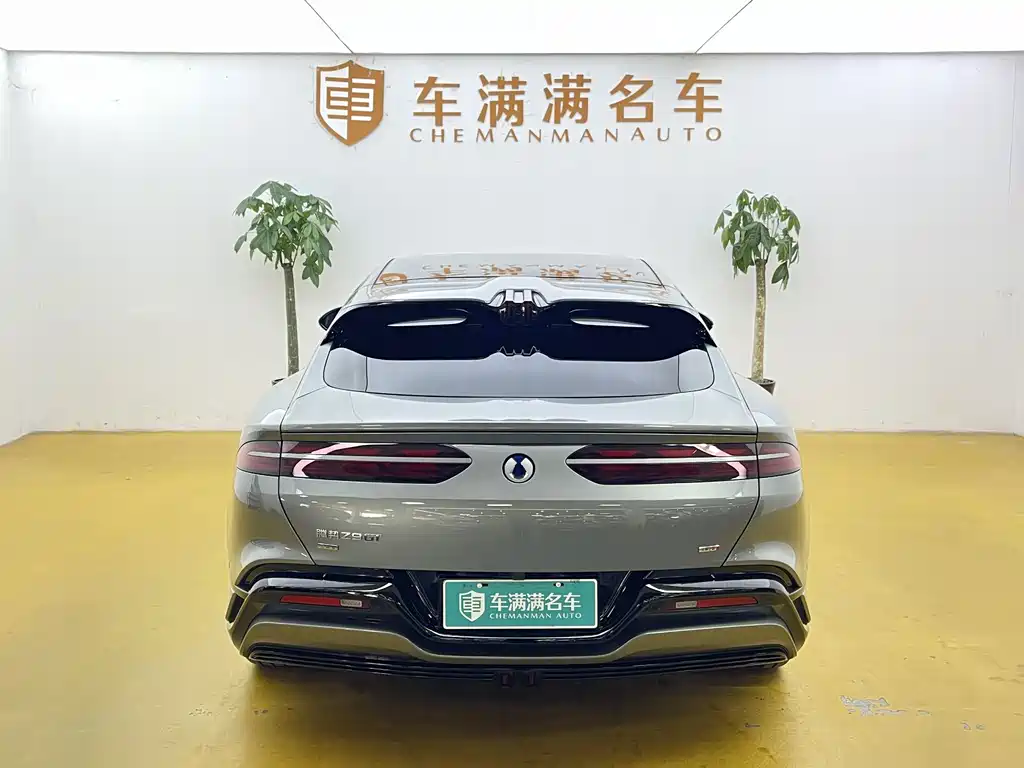 Denza Denza Z9GT — фото 10
