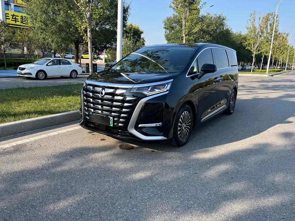 Denza Denza D9