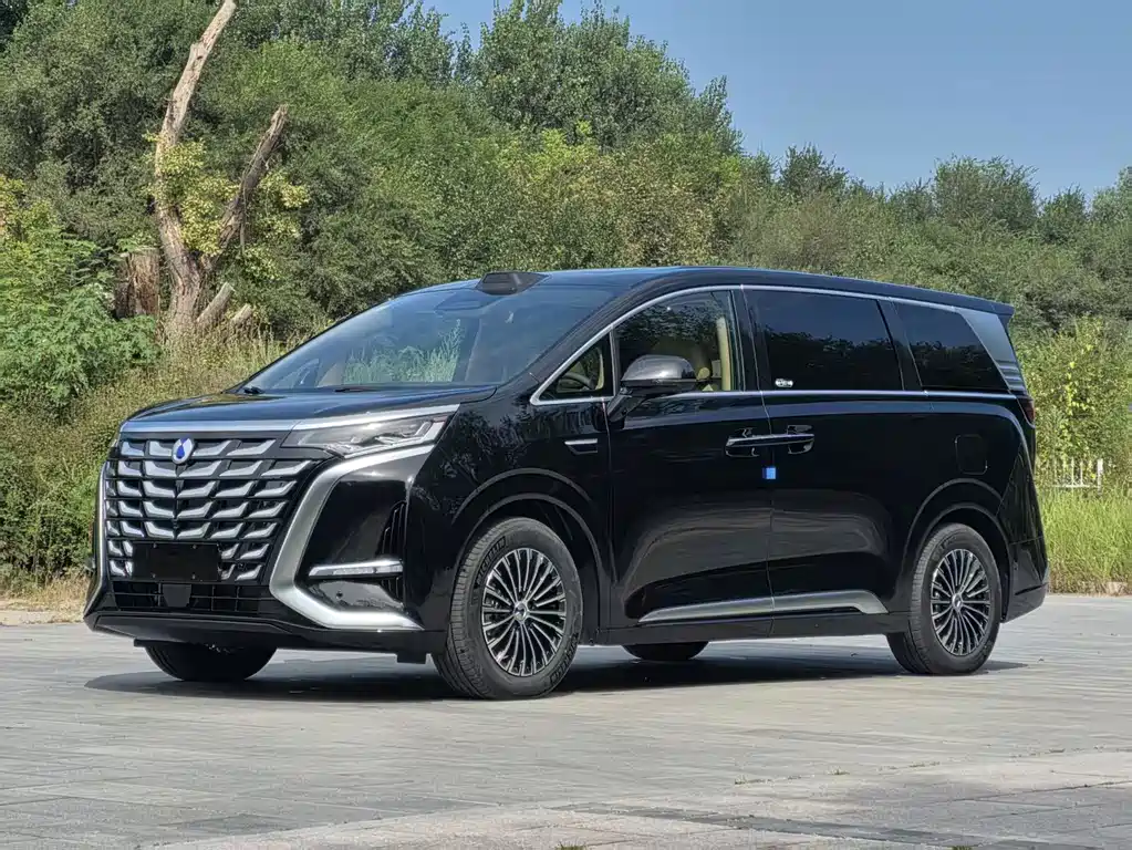 Denza Denza D9